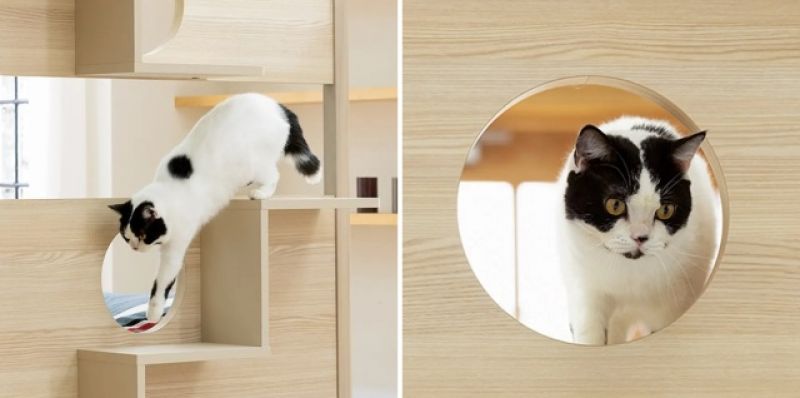 cau-thang-o-cua-so-giuong-bed-with-cat-step